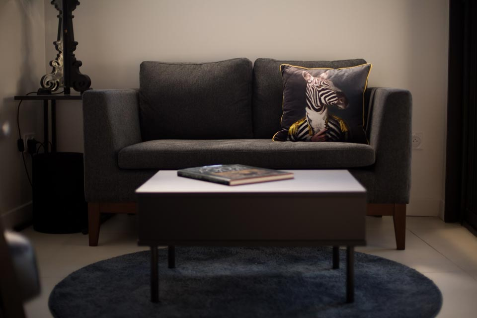 Canapé et table basse